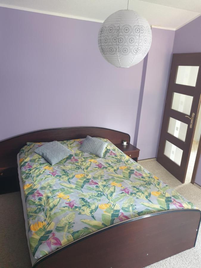 Apartament Pod Sosnami 1 Noclegi Otw Borowno Wlk Skarszewy المظهر الخارجي الصورة